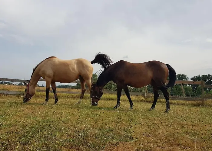 Spacieux - 3 - Calme Et 펜션 *